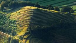 greenMe-piramidi-di-Montevecchia